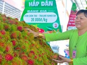 Promueven potencialidades del “reino de las frutas”  en el Sur de Vietnam 