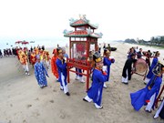 (Video) Festival divertido Cau Ngu en costa central de Vietnam