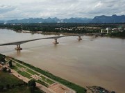 (Televisión) Proyecto de prevención contra salinización en el Delta del río Mekong rinde frutos