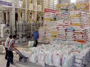 (Televisión) Reanuda Vietnam exportación arrocera mientras garantiza seguridad alimentaria 