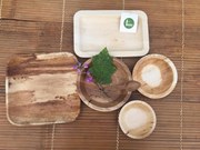 (Televisión) Provincia vietnamita produce tazas y platos ecológicos de penca de areca 