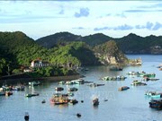 (Televisión) Vietnam promueve turismo doméstico en medio de COVID-19 