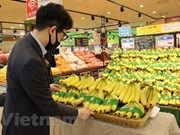 (Televisión) Plátano vietnamita llega a cadena de supermercados sudcoreana Lotte