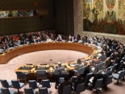[Video] Vietnam cumple con éxito cargo del presidente del Consejo de Seguridad de Naciones Unidas  