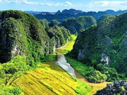 Vietnam entre los 10 mejores destinos para jubilados 