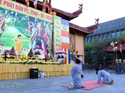 [Video] Vietnam celebra Vesak de forma solemne y segura en el contexto de COVID-19