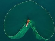 Impresionantes imágenes de la pesca en aguas vietnamitas