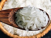 Reconocen marca comercial de arroz de Vietnam en 22 países