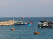 Vietnam apunta a ser una nación marítima fuerte para 2030