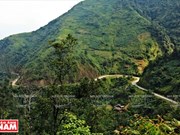 Cuatro grandes pasos de montaña en el noroeste de Vietnam