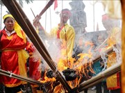 Concurso de preparación de arroz en Hanoi, una tradición de Año Nuevo Lunar