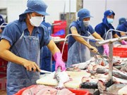 Prevén recuperación de exportaciones de pescado Tra en tercer trimestre
