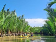 Quang Nam entre los principales destinos sostenibles de Asia