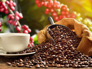 Exportaciones de café de Vietnam alcanzarán más de cuatro mil millones de dólares 