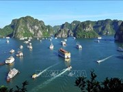 Bahía de Ha Long- archipiélago de Cat Ba reconocido como patrimonio mundial 