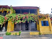 [Foto] Conocida ciudad turística de Hoi An en medio de COVID-19