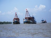 Vietnam combate la pesca ilegal, no declarada y no reglamentada 