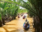 Provincia deltaica vietnamita aprovecha ventajas para desarrollar turismo 