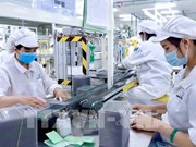 Economía de Vietnam experimenta una fuerte recuperación 
