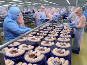 Vietnam exporta camarones a 100 países y territorios 