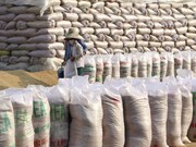 Vietnam será el tercer mayor exportador mundial de arroz en 2022  