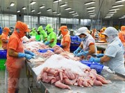 Más de 90 por ciento del pescado Tra vendido en Estados Unidos proviene de Vietnam 