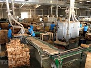 Vietnam espera ganar 18 mil millones de dólares de exportaciones de madera en 2023 
