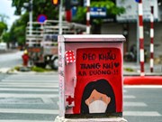 Impresionantes cabinas eléctricas con imágenes contra el COVID-19 en Hanoi