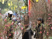 Inauguran mercado tradicional de flores del Tet en Hanoi 