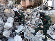 Canes rastreadores de Vietnam encuentran a víctimas de terremoto en Turquía