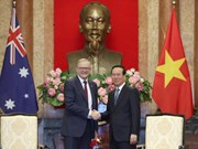 Australia califica a Vietnam de socio prioritario en la región  ​