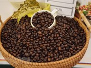 España encuentra en Vietnam a su mayor proveedor de café 