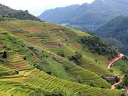Terrazas de arroz en Mu Cang Chai, una obra maestra de la naturaleza y la creatividad humana
