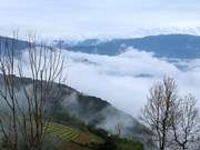 Ka Lang, un destino maravilloso para “cazar nubes” en noroeste de Vietnam