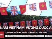 Aspira Reino Unido a desarrollar relaciones con Vietnam mediante cultura