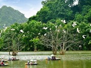 Vietnam trabaja para prevenir la degradación de la biodiversidad