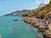 Playa Sau, destino atractivo de ciudad vietnamita de Vung Tau
