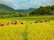 Binh Lieu conquista a turistas con su belleza natural y valores culturales