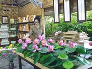Empresa vietnamita presenta productos de flor de loto