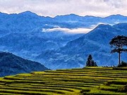 Majestuosos paisajes de terrazas de arroz en la aldea vietnamita de Y Ty
