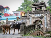Uoc Le, una aldea vietnamita orgullosa de su antiguedad