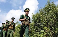 Determina Dong Thap garantizar desarrollo integral de zona fronteriza