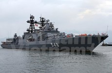 Flota de la Armada rusa visita Da Nang