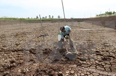 Vietnam y Japón juntan manos en adaptación al cambio climático