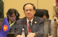 Diversidad, ventaja para el desarrollo de ASEAN