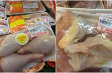 Pollos de EE.UU. ocupan mitad de carne importada en Vietnam