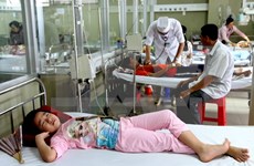 Recomienda Vietnam a ciudadanos tratamiento de dengue en hospitales