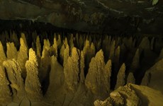 Nuevas ofertas para aventureros de cavernas en Phong Nha – Ke Bang