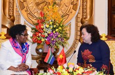 Hanoi y Johannesburgo cooperan por derechos de mujeres