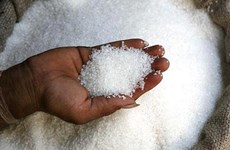 Filipinas incauta 57 contenedores con azúcar de contrabando